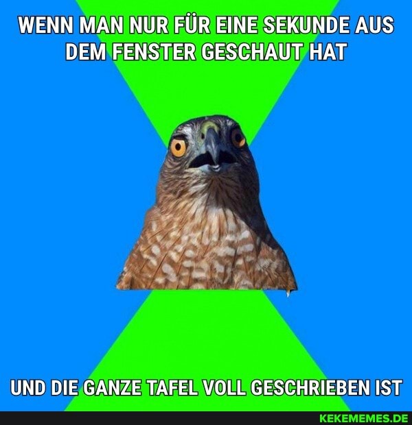 WENN MAN NUR FÜR EINE SEKUNDE AUS DEM FENSTER GESCHAUT HAT
UND DIE GANZE TAFEL VOLL GESCHRIEBEN IST