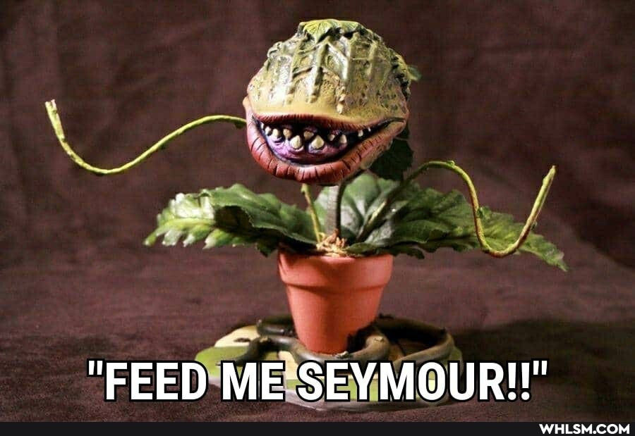 "FEED ME-SEYMOURI!"