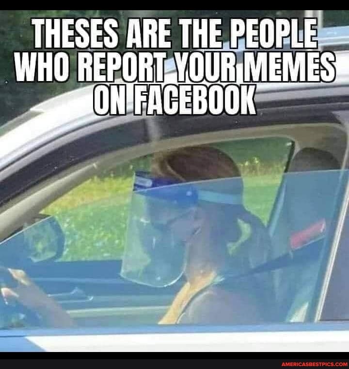 THESES WHO ARE THE HE PEOPLE WHO REPORT VOURIM MEMES