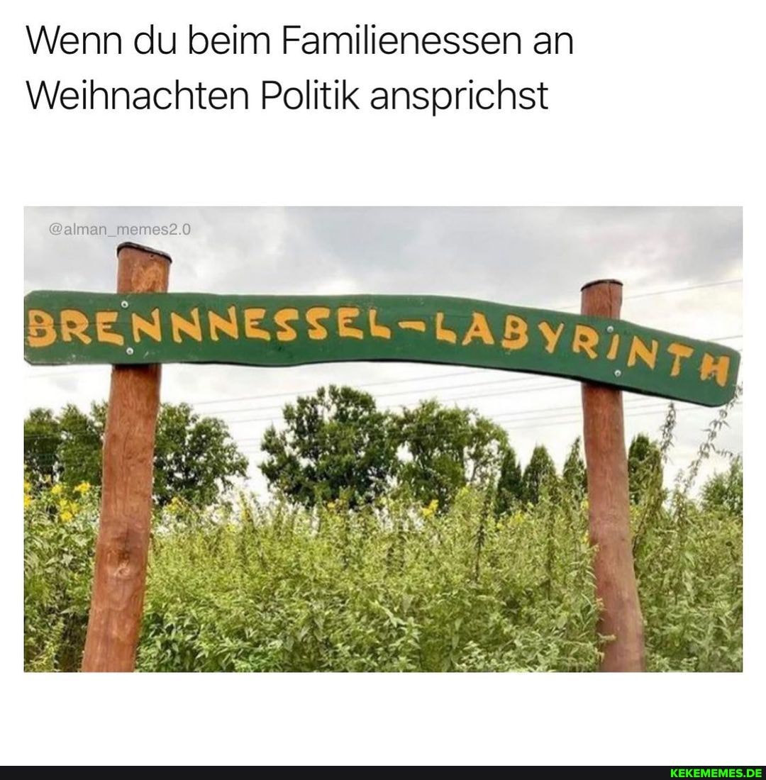 Wenn du beim Familienessen an
Weihnachten Politik ansprichst
@alman_memes2.0