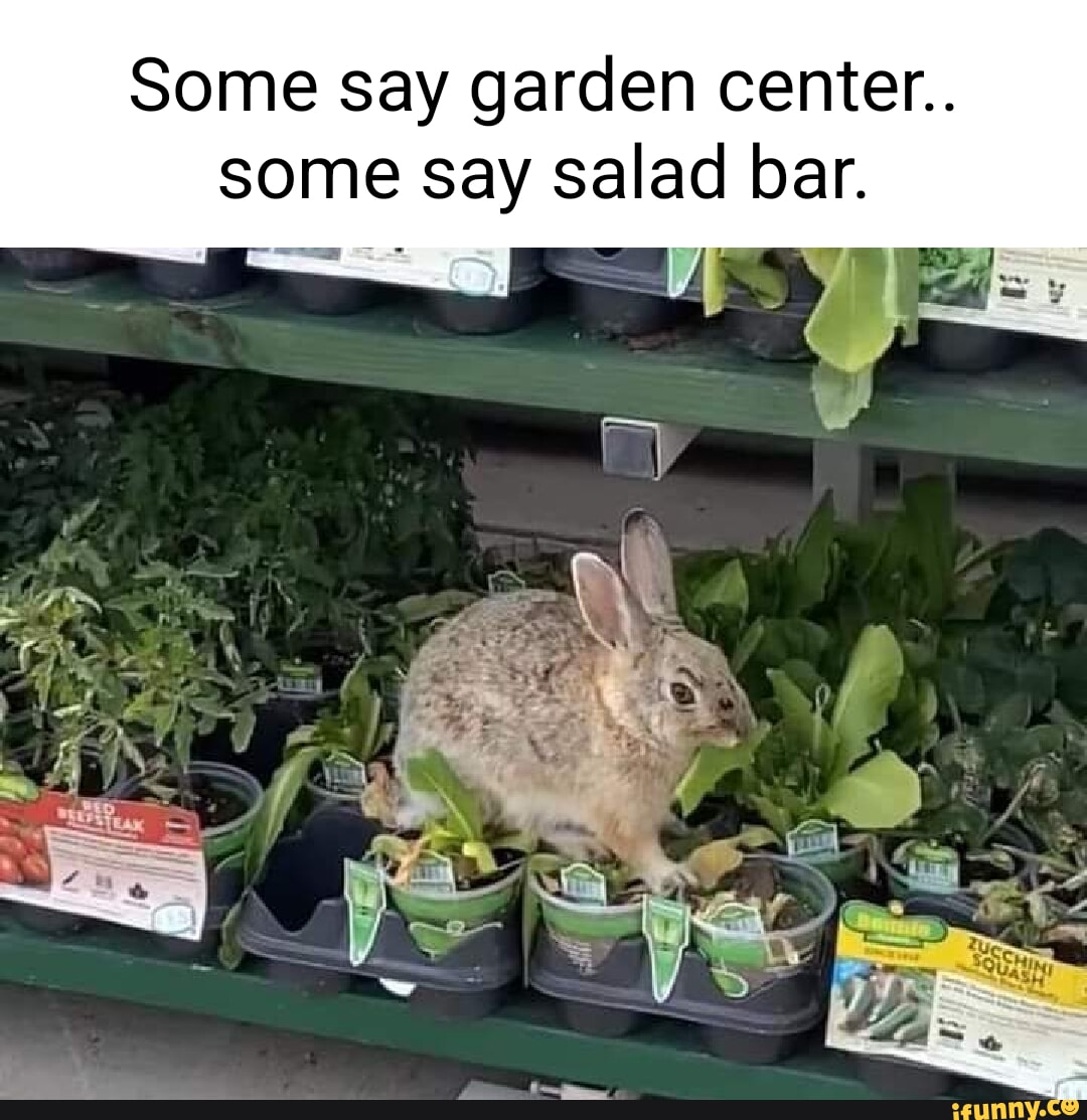 Irma Freeman Center - Venue • Arcane City, image size:1080x1113