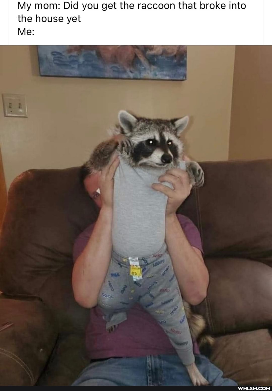 My mom: Did you get the raccoon that broke into the house yet
Me:
on