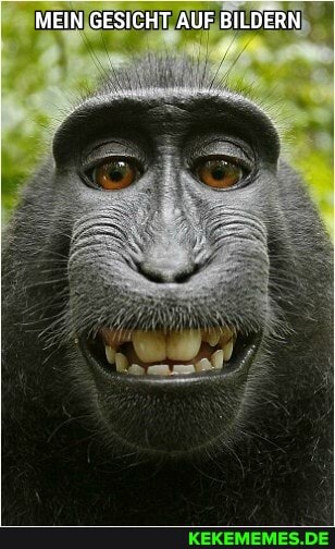 MEIN GESICHT AUF BILDERN