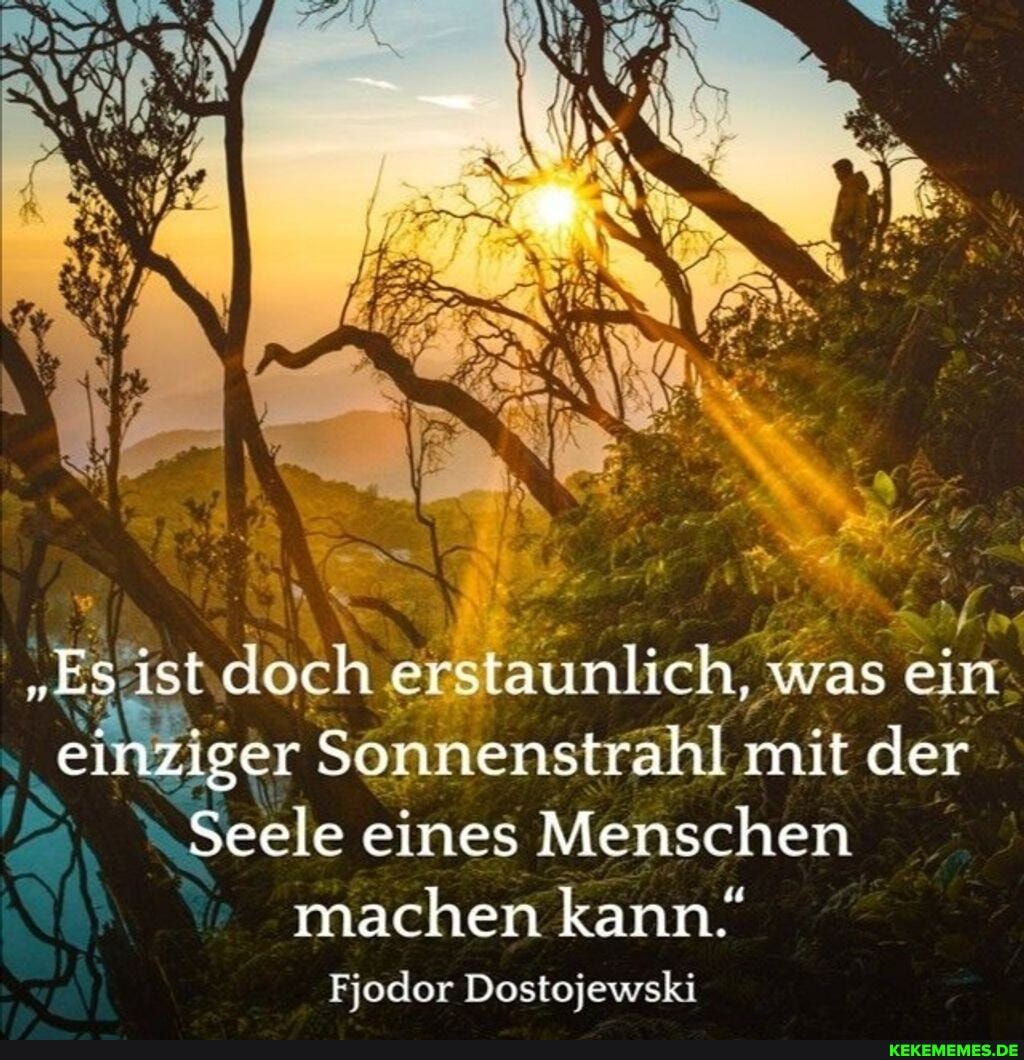 "Es ist doch erstaunlich, was ein einziger Sonnenstrahl mit der
Seele eines Menschen machen kann.
Fjodor Dostojewski