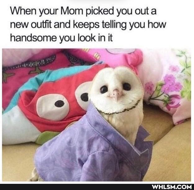 When your Mom picked you out a new outfit and keeps telling you how handsome you look in it