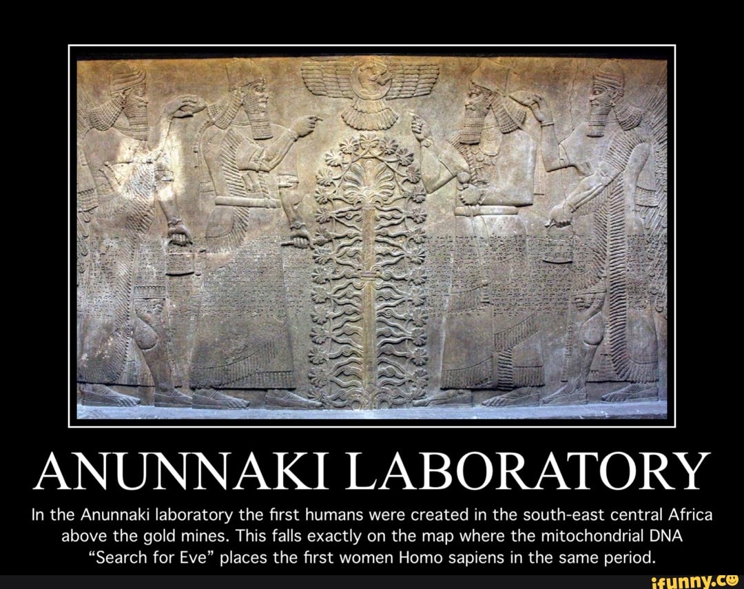 ANUNNAKI LABORATORY
In the Anunnaki laboratory the first humans were created in the south-east central Africa above the gold mines. This falls exactly on the map where the mitochondrial DNA
"Search for Eve" places the first women Homo sapiens in the same period.