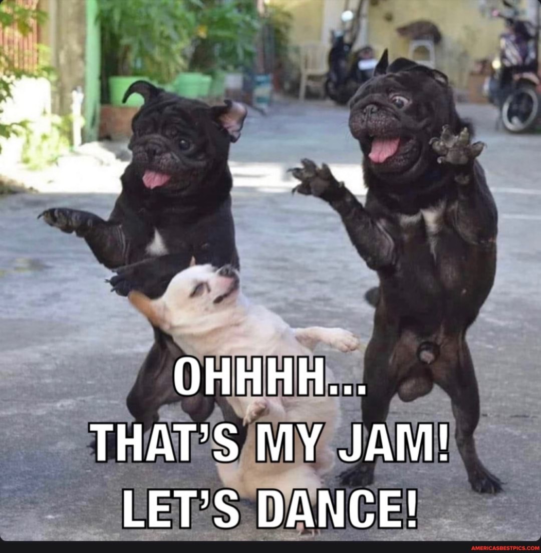 OHHHH...
THAT'S MY JAM!
LET'S DANCE!