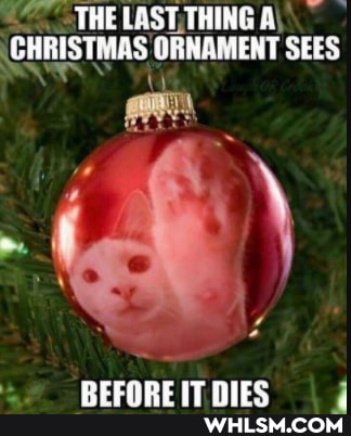 THE LAST, THING A\
(CHRISTMAS ORNAMENT SEES
PErapr it nire