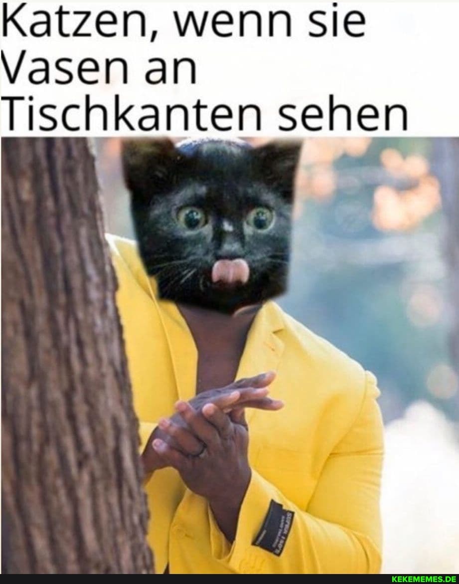 Katzen, wenn sie
Vasen an
Tischkanten sehen