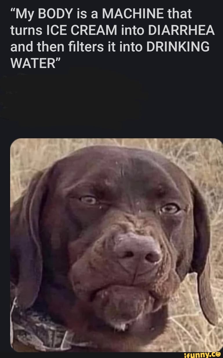 "My BODY is a MACHINE that turns ICE CREAM into DIARRHEA and then