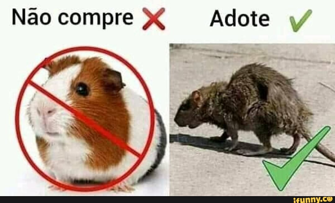 Não compre XX Adote y
- .