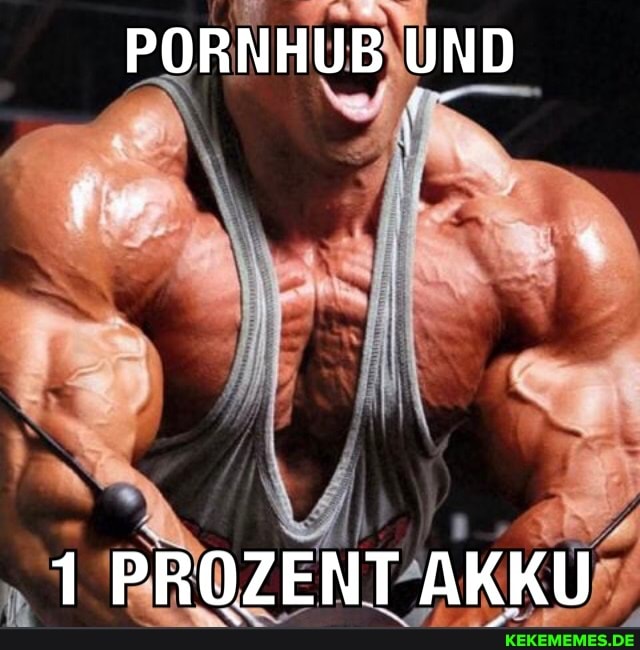 PORNHUB UND
1 PROZENT AKKU