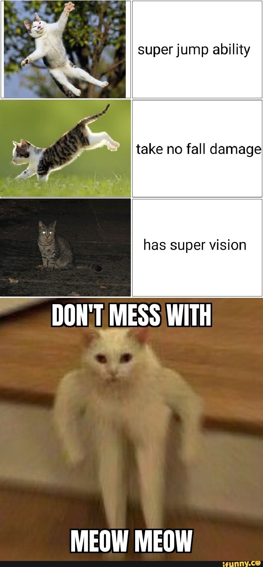 Super Jump Ability Take No Fall Damage Has Super Vision Don T Mess With