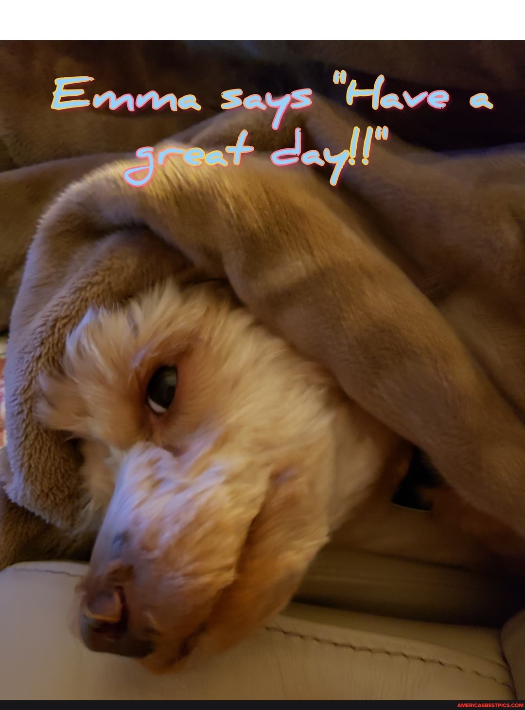 Emme "lave a
ieet cay!