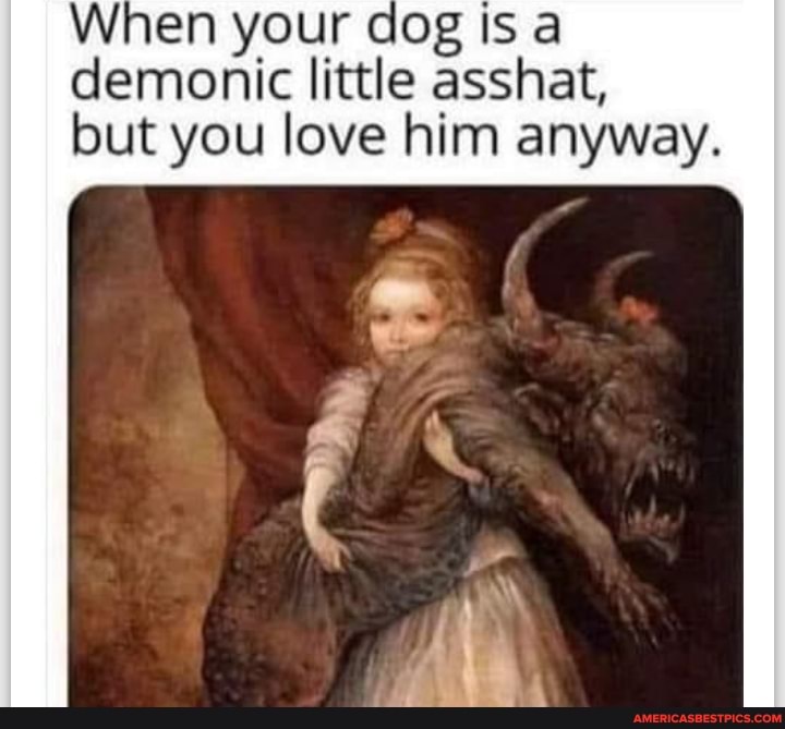 When your dog Is a demonic little asshat, but you love him anyway.