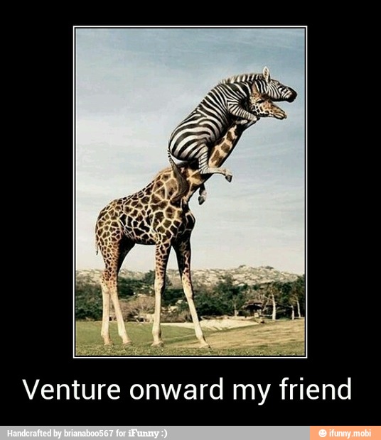 Venture onward my friend - Venture onward my friend