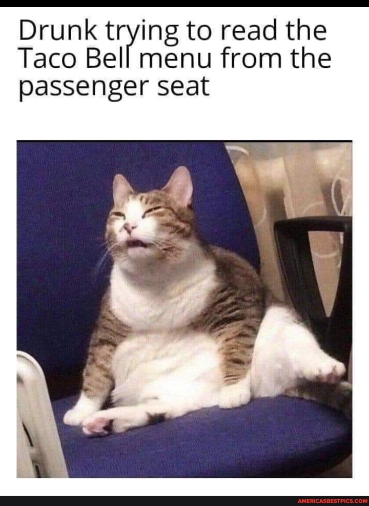 Drunk trying to read the
Taco Bell menu from the passenger seat