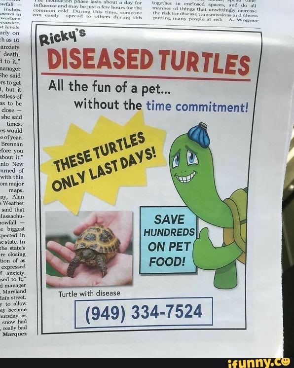 Pun ee
DISEASED TURTLES
All the fun of
without the time commitment!
Turtle with disease
(949) 334-7524