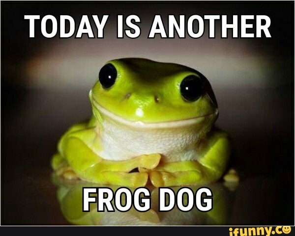 TODAY IS ANOTHER
FROG DOG