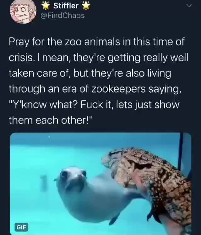 Pray for the zoo animals in this time of
crisis. I mean, they're getting really well
taken care of, but they're also living
through an era of zookeepers saying,
"Y'know what? Fuck it, lets just show
them each other!"