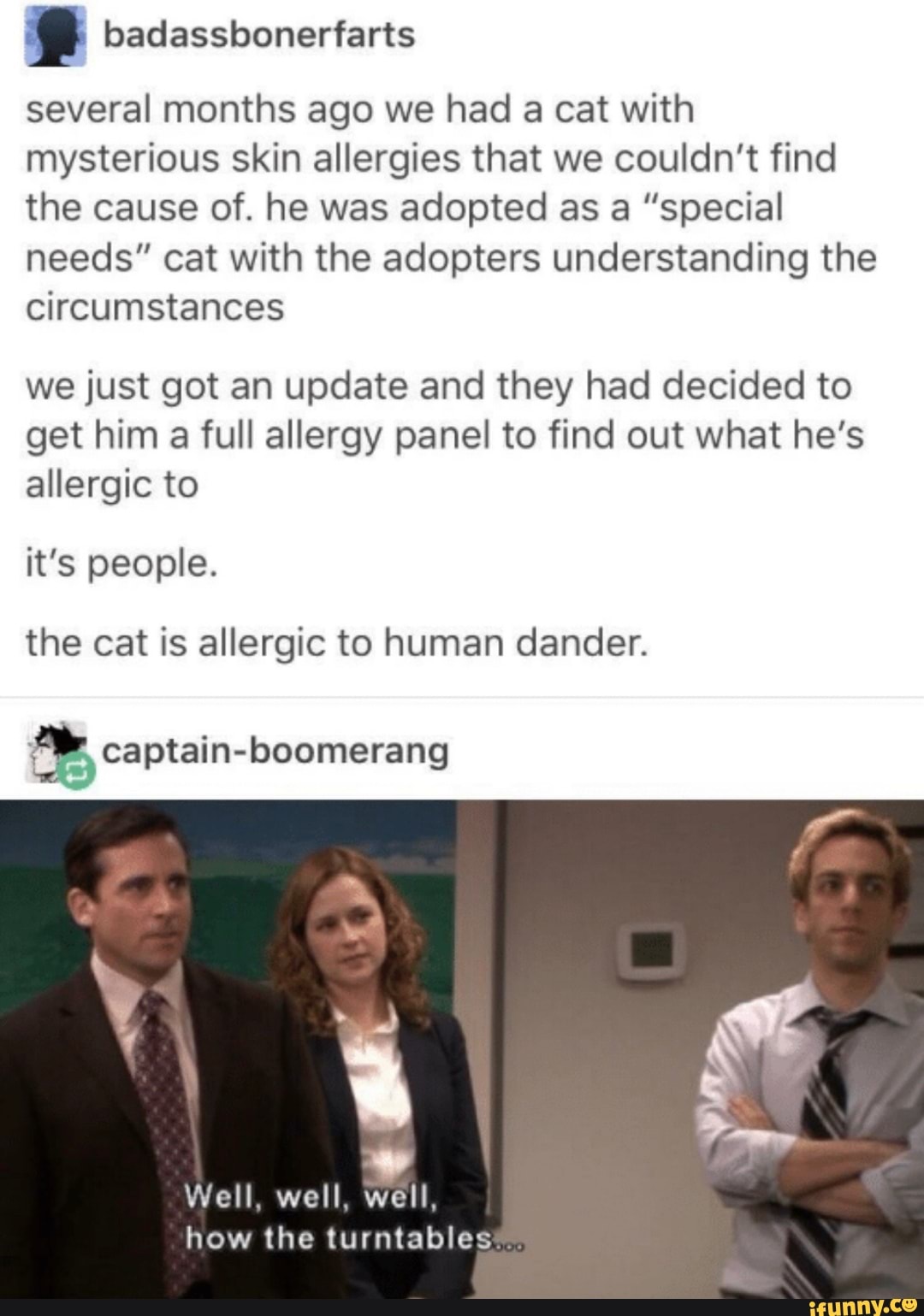 x badassbonerfarts
several months ago we had a cat with
mysterious skin allergies that we couldn't find
the cause of. he was adopted as a "special
needs" cat with the adopters understanding the
circumstances
we just got an update and they had decided to
get him a full allergy panel to find out what he's
allergic to
it's people.
the cat is allergic to human dander.
e captain-boomerang