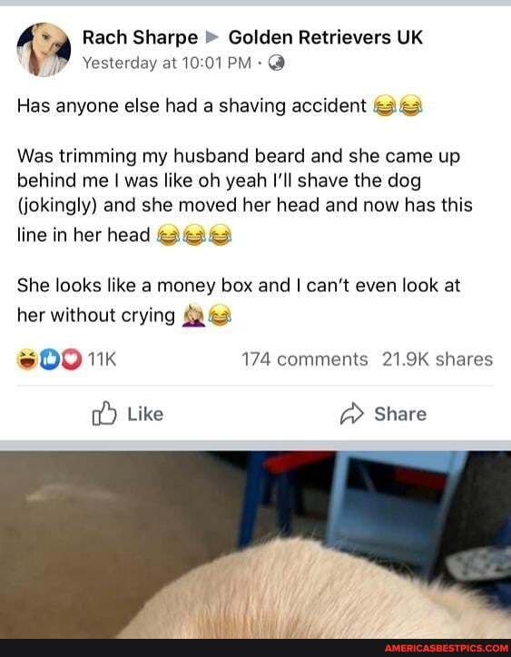 Rach Sharpe Golden Retrievers UK Yesterday at
Has anyone else had a shaving accident
Was trimming my husband beard and she came up behind me I was like oh yeah I'll shave the dog
(jokingly) and she moved her head and now has this
line in her head
She looks like a money box and I can't even look at her without crying
174 comments 21.9K shares
Like Share