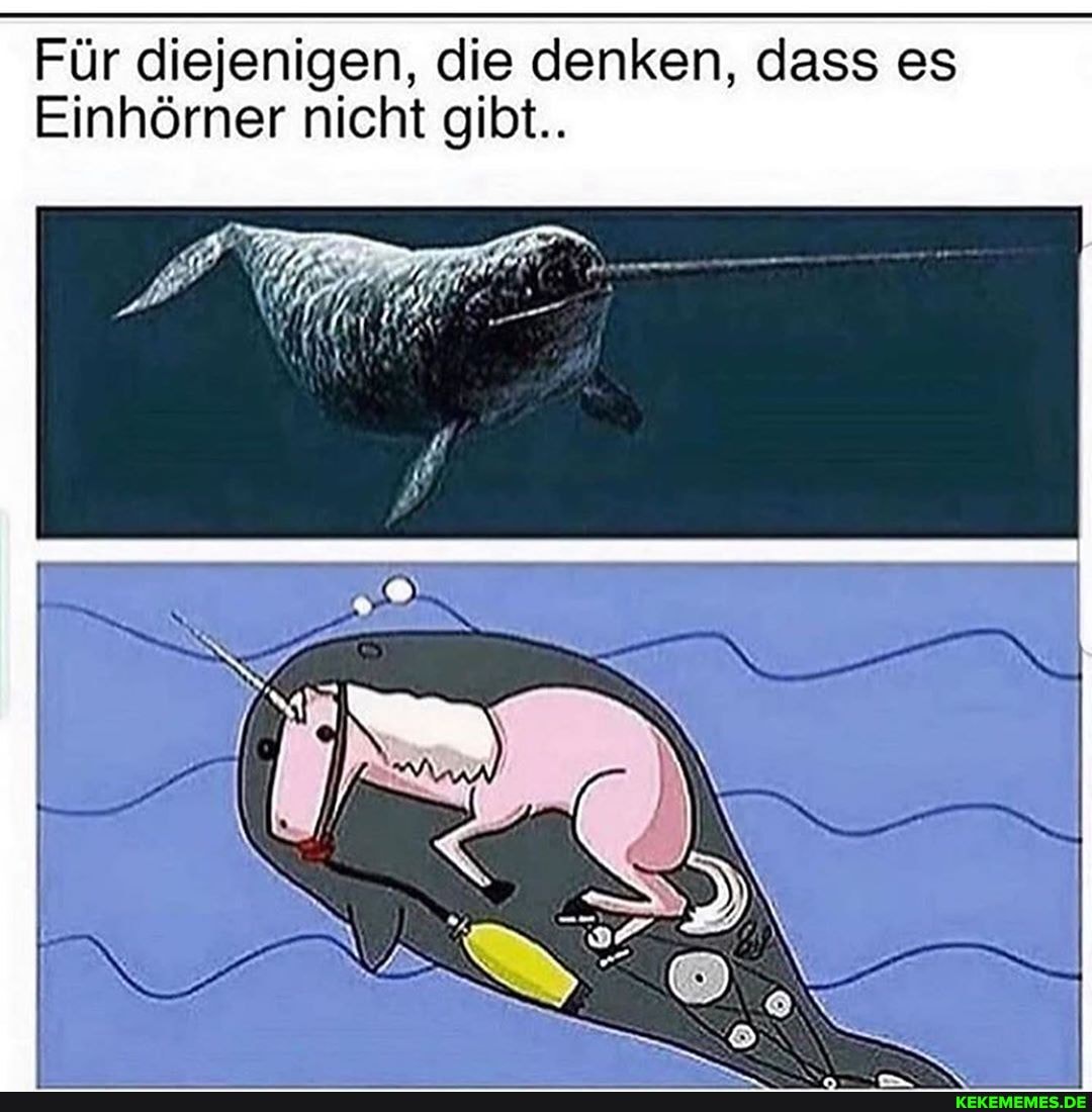 Für diejenigen, die denken, dass es
Einhörner nicht gibt..
