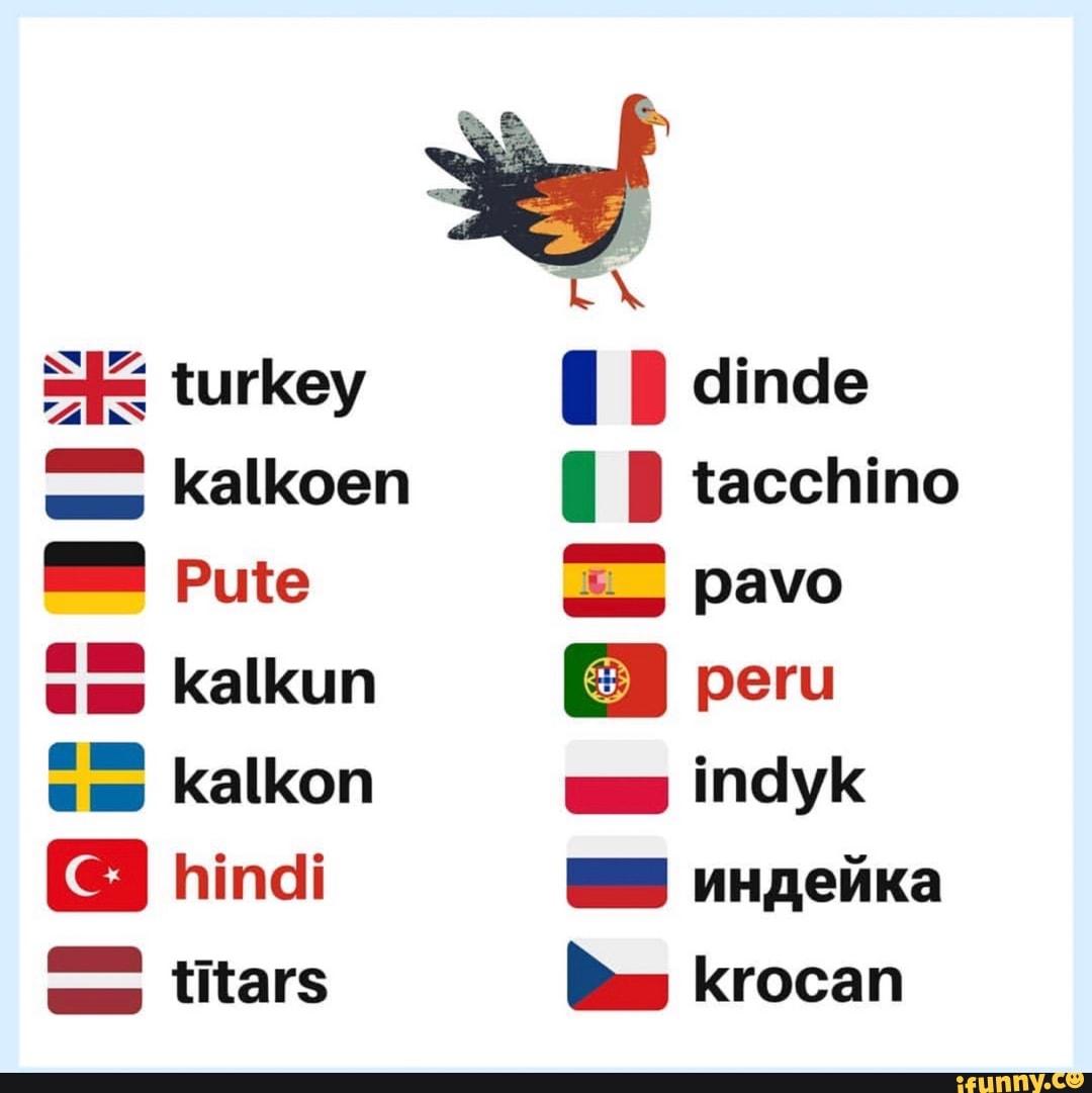 Dinde memes. Best Collection of funny Dinde pictures on iFunny