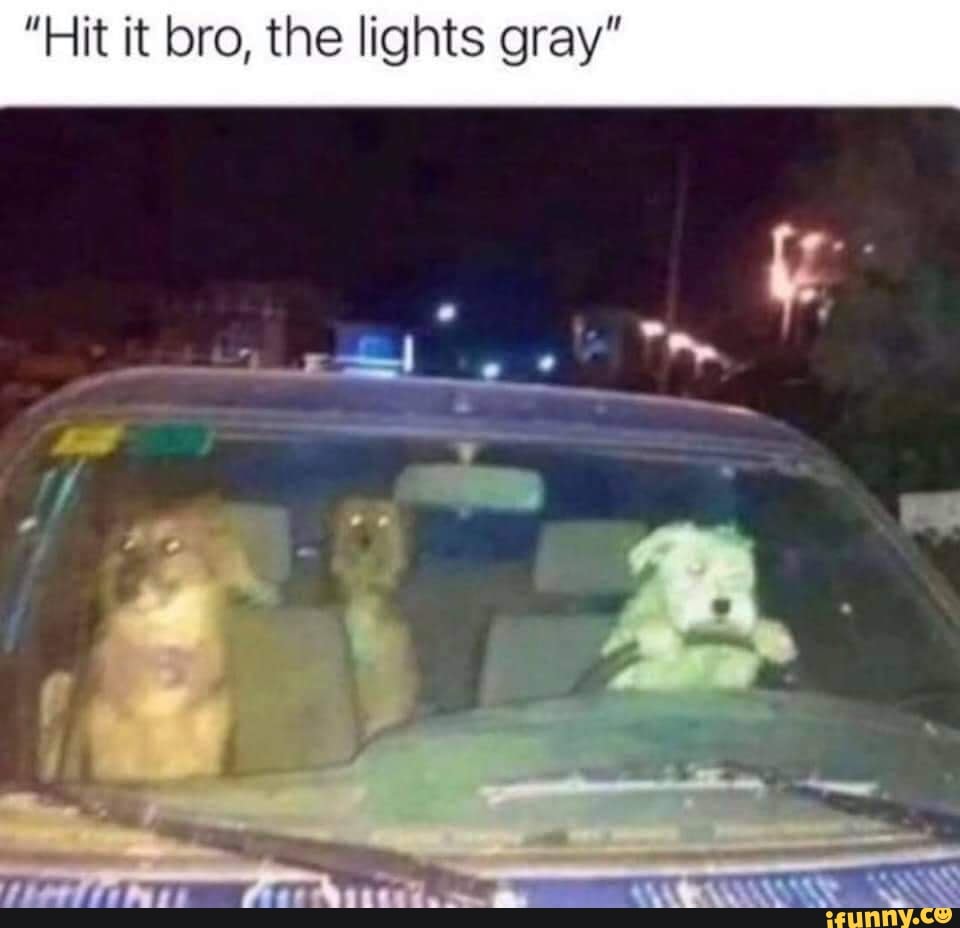 "Hit it bro, the lights gray"