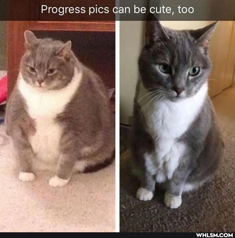 Progress pics can be cute, too
