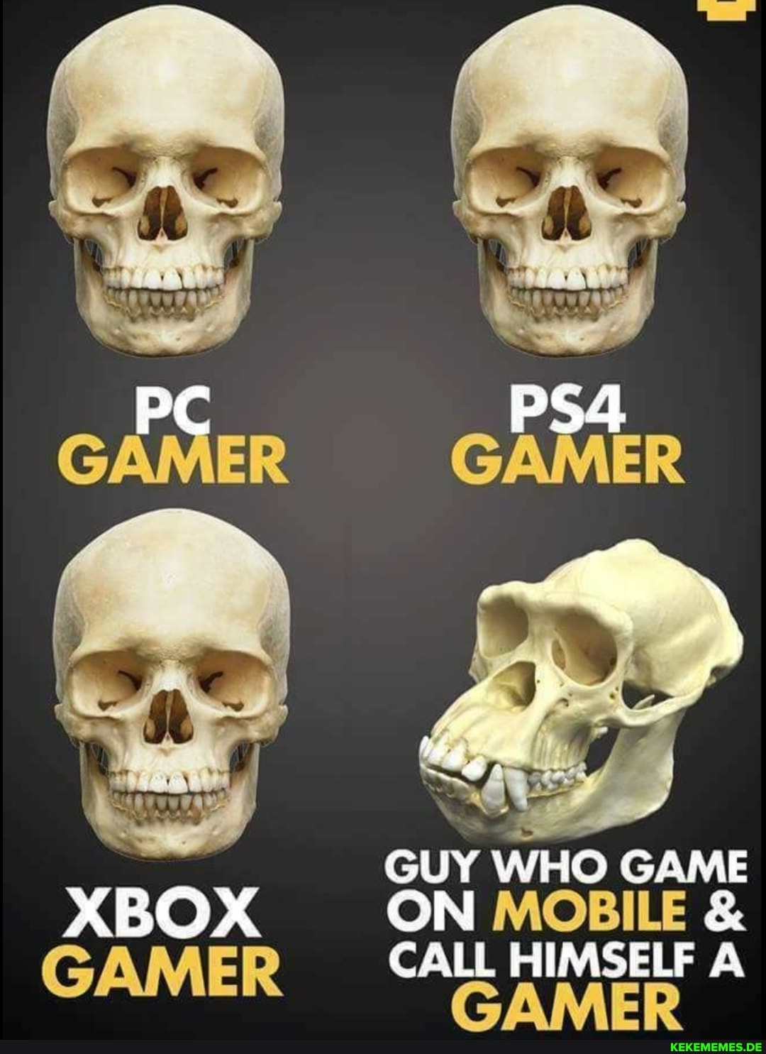 PC GUY WHO GAME BOX ON MOBILE & CALL HIMSELF A GAMER