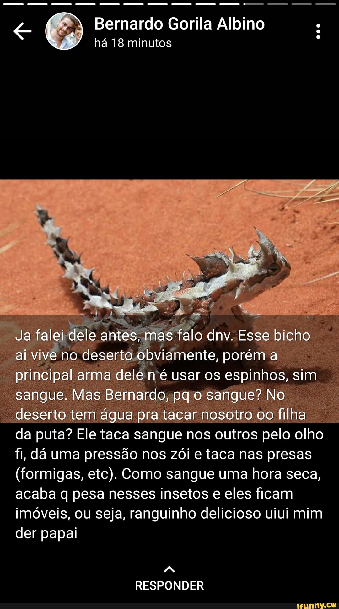 Bernardo Gorila Albino
há 18 minutos
Ja falei dele antes, mas falo dnv. Esse bicho ai vive no deserto obviamente, porém a principal arma dele n é usar os espinhos, sim sangue. Mas Bernardo, pq o sangue? No deserto tem água pra tacar nosotro oo filha da puta? Ele taca sangue nos outros pelo olho fi, dá uma pressão nos zói e taca nas presas
(formigas, etc). Como sangue uma hora seca, acaba q pesa nesses insetos e eles ficam imóveis, ou seja, ranguinho delicioso uiui mim der papai
RESPONDER