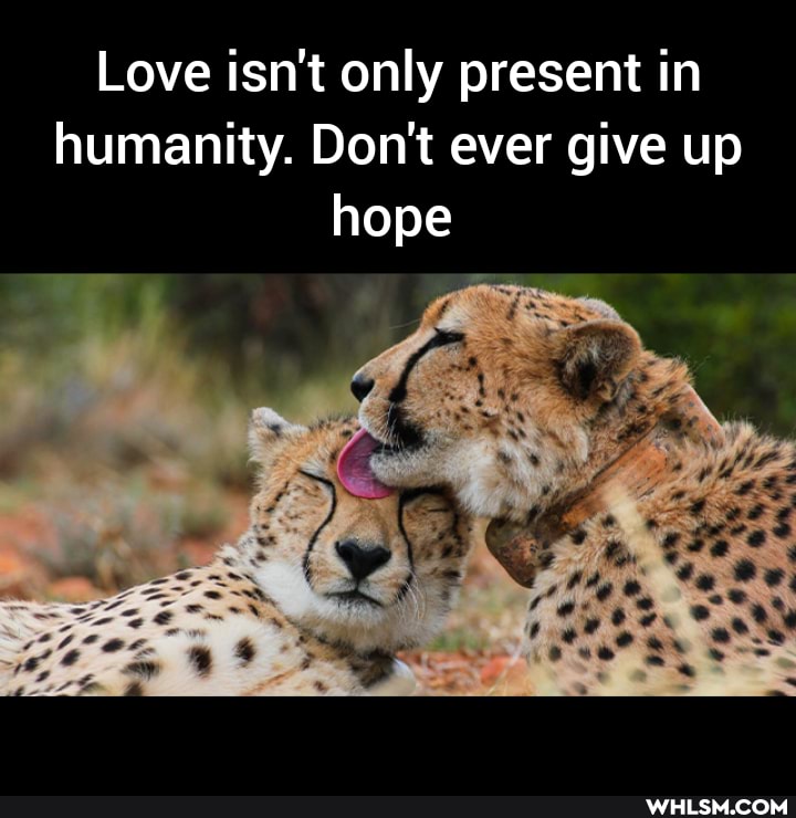 Love isn't only present in humanity. Don't ever give up
hope
RY,