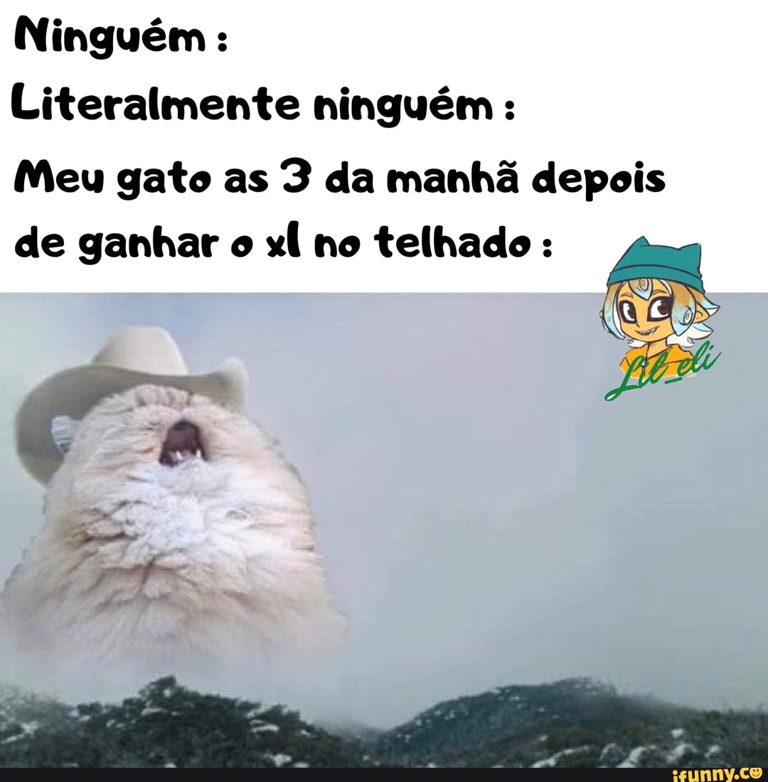 Ninguém Literalmente ninguém Meu gato as 3 da manhã depois
de ganhar o
xl no telhado