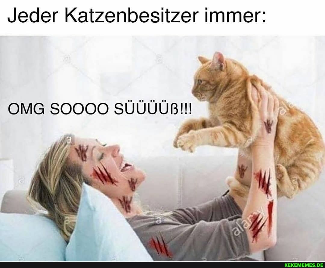 Jeder Katzenbesitzer immer:
OMG SOOOO