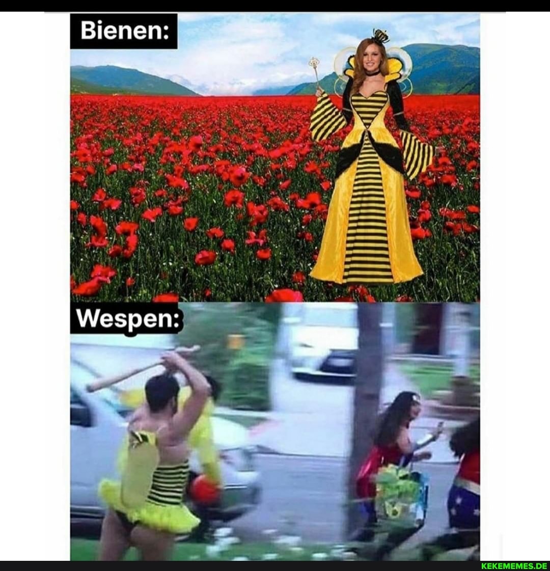 Bienen:
Wespen: