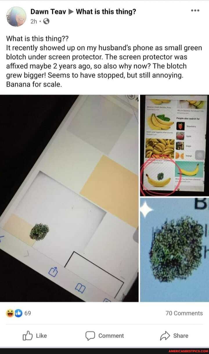 Dawn Teav What is this thing?
What is this thing??
It recently showed up on my husband's phone as small green blotch under screen protector. The screen protector was affixed maybe 2 years ago, so also why now? The blotch grew bigger! Seems to have stopped, but still annoying.
Banana for scale.
70 Comments
Like comment Share