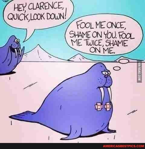 HEY CLARENCE,
QUICK, LOOK DOWN
FOOL ME ONCE,
ME TWICE, SHAME
You
