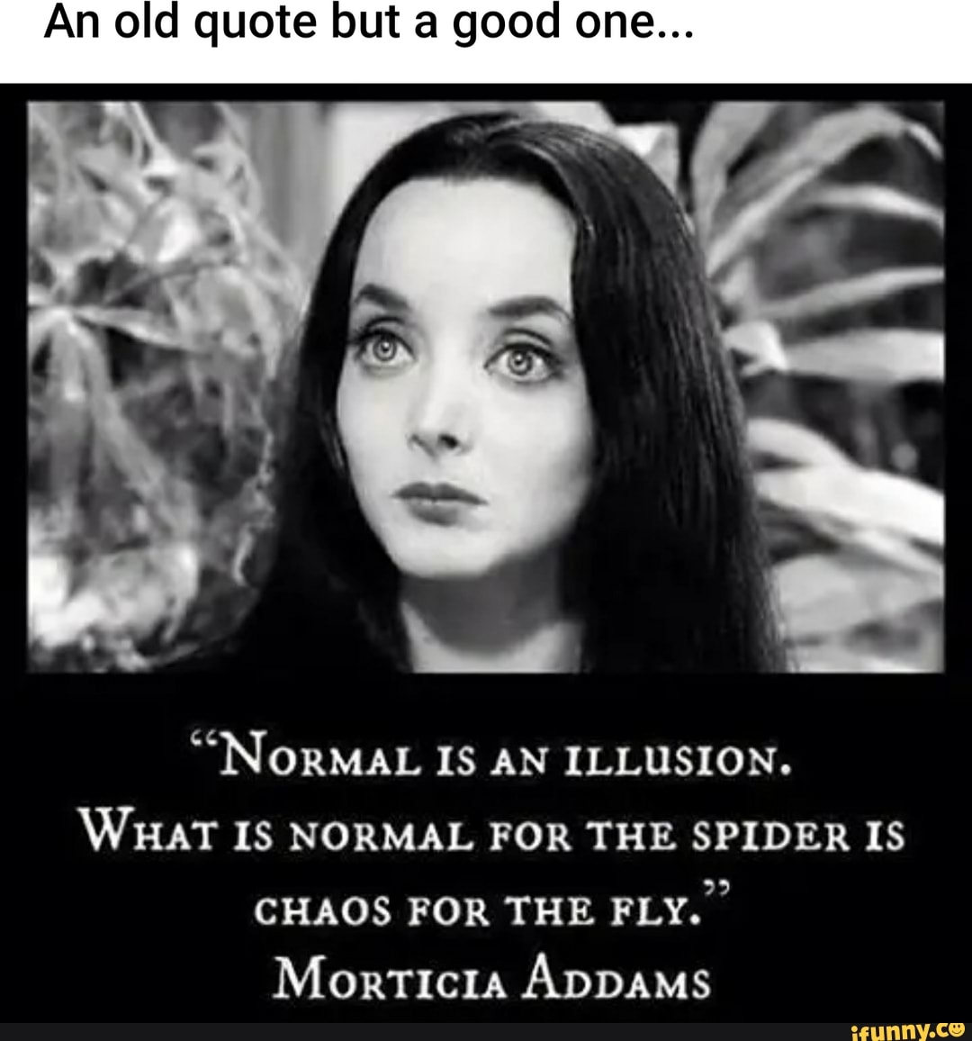 An Old Quote But A Good One.. "Normal Is An Illusion. What Is Normal For The Spider Is Chaos For The Fly. I - )