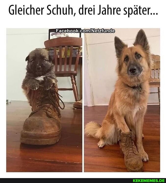 Gleicher Schuh, drei Jahre später...