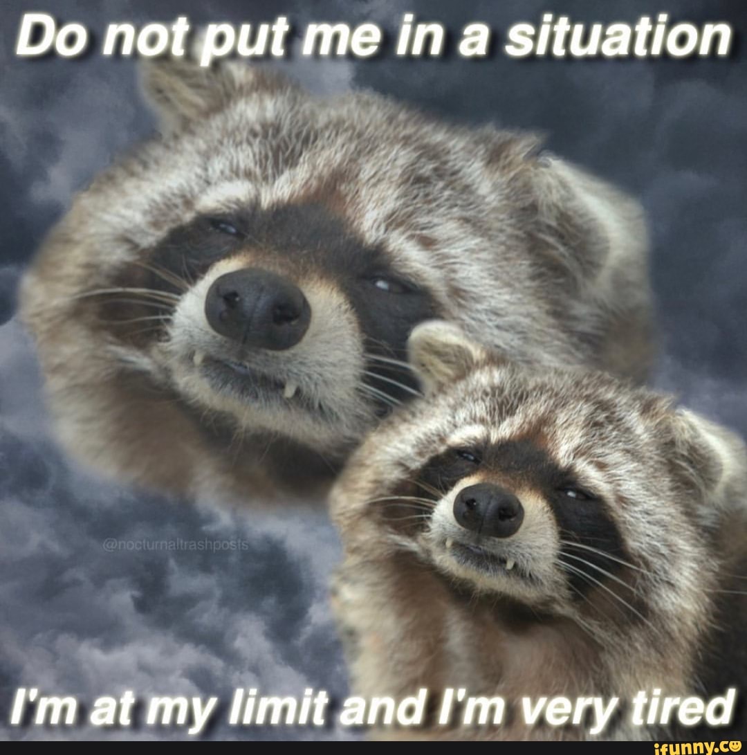 Do Not Put Me In A Situation I M At My Limit And I M Very Tired IFunny