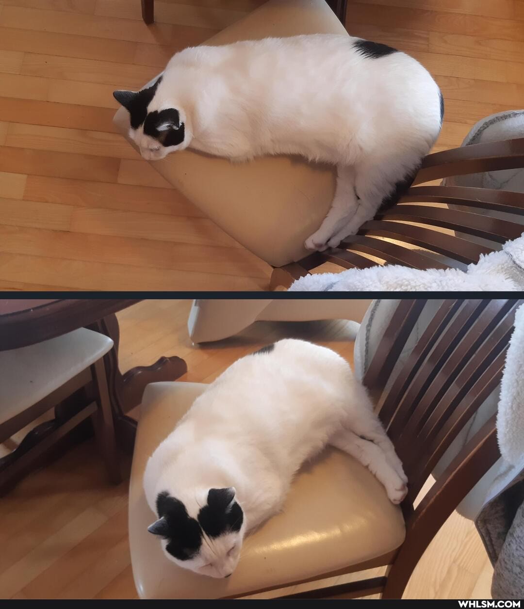 way, boy, sleeps, don, worry, does, legs