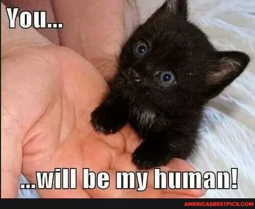 Yon...
ve y human!