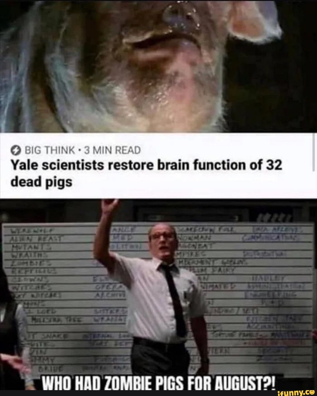 BIG THINK 3 MIN READ Yale scientists restore brain function of 32 dead pigs
WHO HAN ZOMRIE PIGS FOR ALIGUST2!