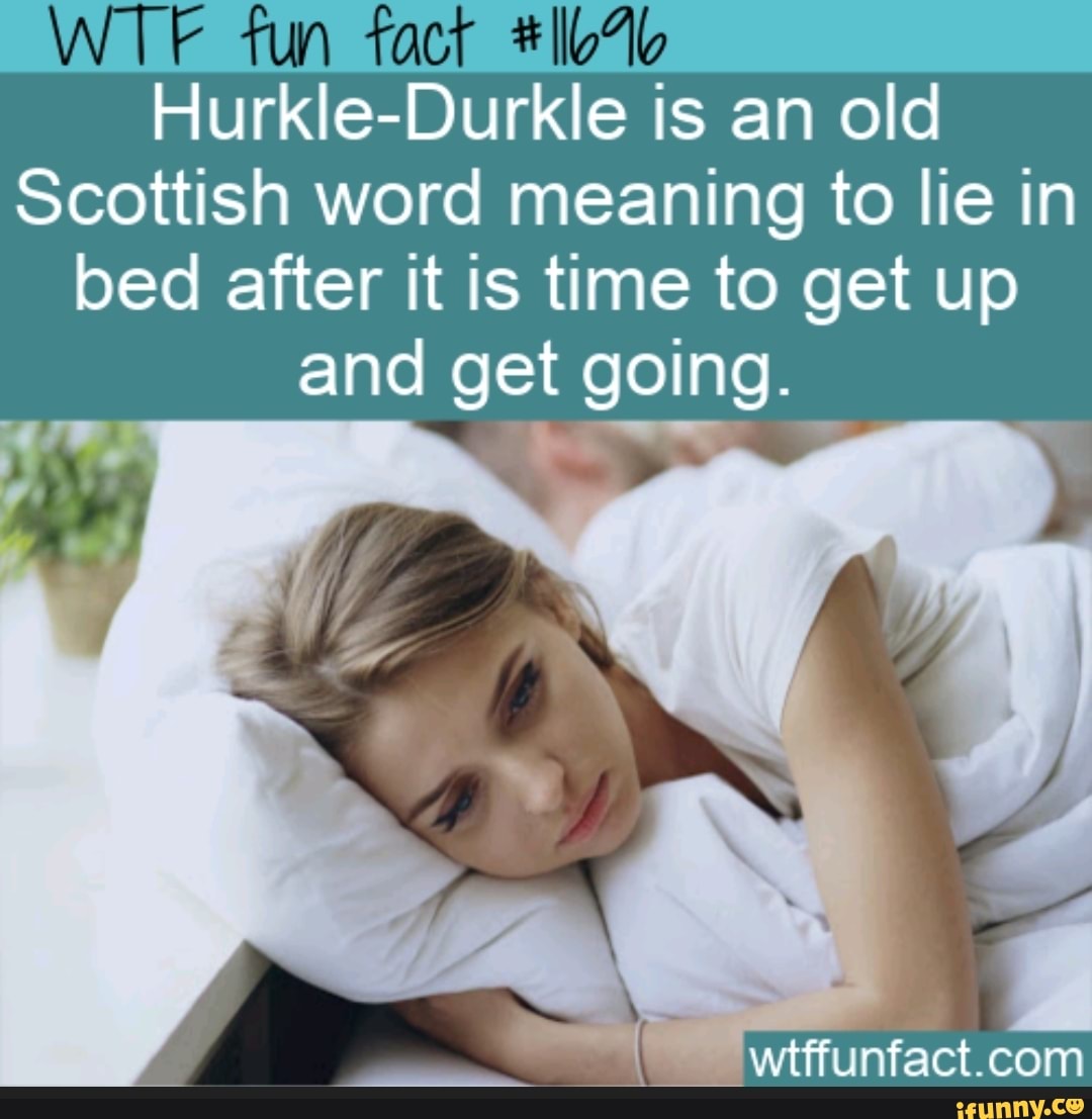 Wtf Fun Fact Hurkle Durkle Is An Old Scottish Word Meaning To Lie In Bed After It Is Time To Get Up And Get Going Wtffuinfact Com