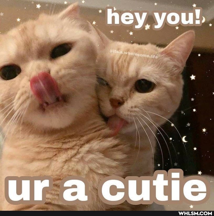 . hey, you!
ura cutie