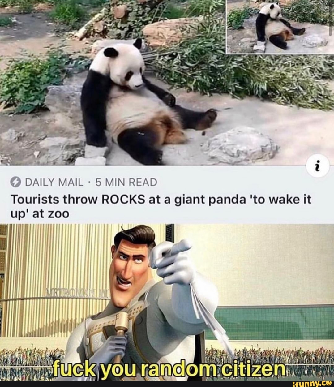 5 MIN READ
Tourists throw ROCKS at a giant panda 'to wake it
up' at zoo
