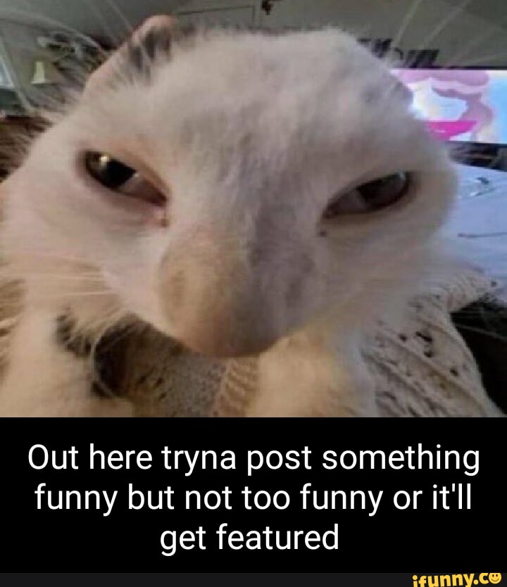 Out here tryna post something funny but not too funny or it'll get ...