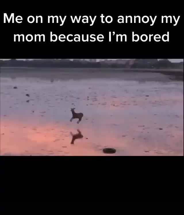 Me On My Way To Annoy My Mom Because I M Bored Ifunny