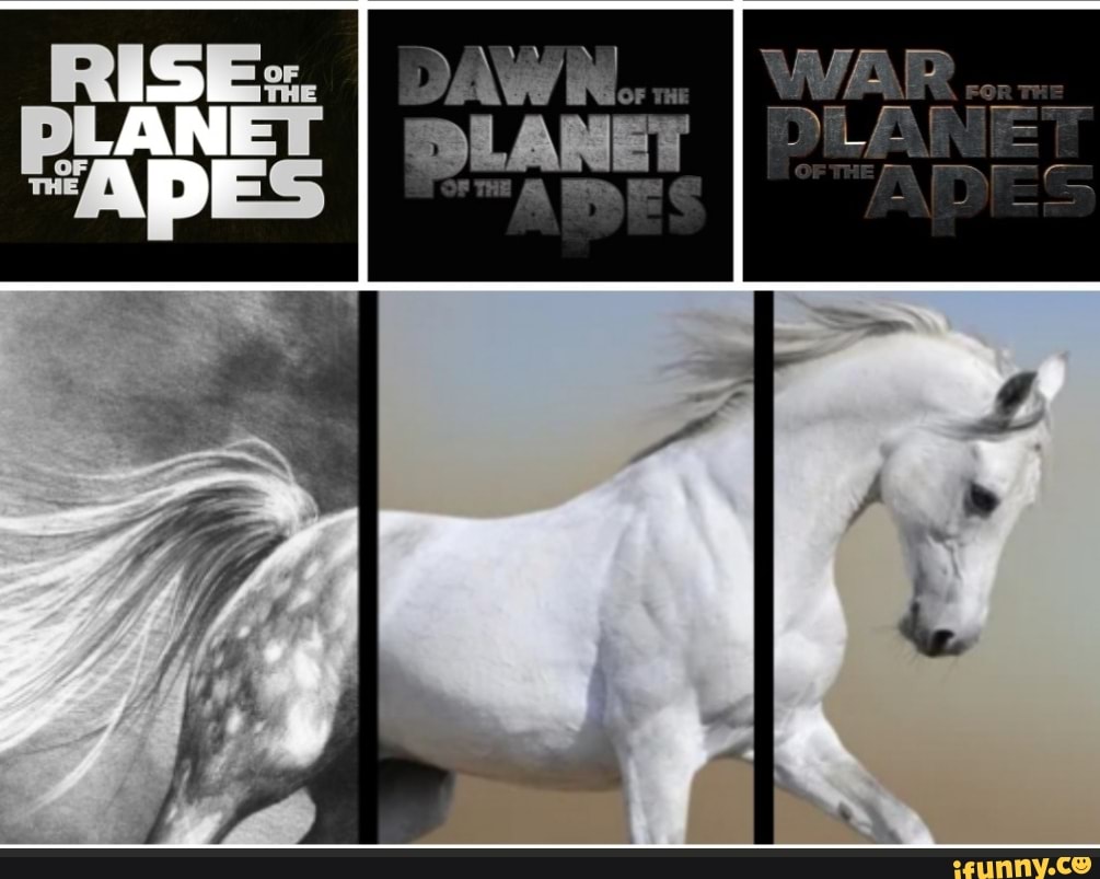 Fourteen Unfinished Horse Drawing Memes For The HalfAssers  Memebase   Funny Memes